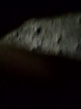 crazyxy12 online show from 02/08/26, 03:48