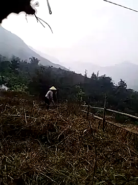 Tina-beo online show from 03/27/26, 09:42