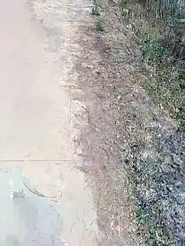 Snapshot of janu_9900 chatting on 02/18/26, 06:09 janu 9900 online show from 02/18/26, 06:09