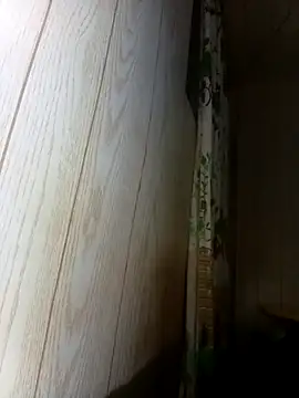 Snapshot of Prikev38452 chatting on 02/12/26, 07:36 Prikev38452 online show from 02/12/26, 07:36