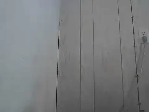 Prikev38452 online show from 04/01/26, 02:14