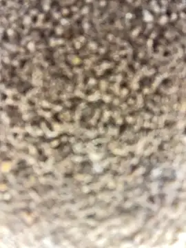 Snapshot of Namipeitudinha chatting on 02/16/26, 04:58 Namipeitudinha online show from 02/16/26, 04:58