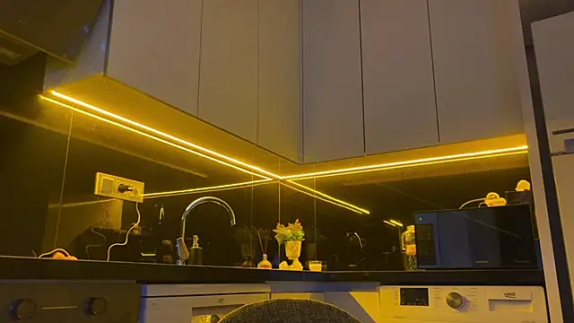 Snapshot of BlackFox_V chatting on 03/01/26, 07:16 BlackFox V online show from 03/01/26, 07:16