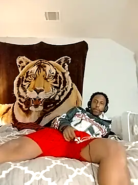 allenray2618 online show from 02/03/26, 05:38