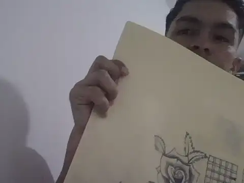 placerverdadero online show from 02/11/26, 04:17