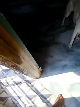 rubitrides11 online show from 02/18/26, 06:09