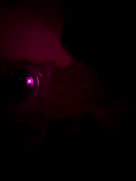 Snapshot of Raj_teluguboy chatting on 03/06/26, 07:43 Raj teluguboy online show from 03/06/26, 07:43