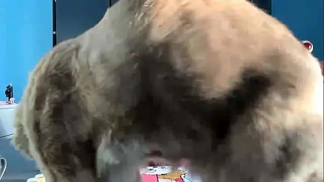 Snapshot of AndreeMerryman chatting on 02/05/26, 08:08 AndreeMerryman online show from 02/05/26, 08:08