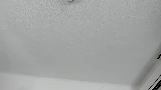 Nico Hillx online show from 02/13/26, 11:01