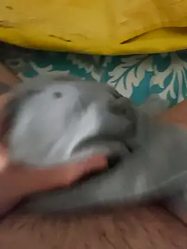 Snapshot of birzevkmeselesi chatting on 02/10/26, 08:57 birzevkmeselesi online show from 02/10/26, 08:57