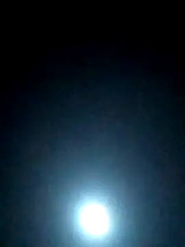 S7LEALTADPERVLIMA7 online show from 04/17/26, 03:26