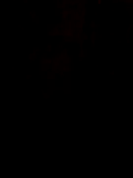 S7LEALTADPERVLIMA7 online show from 06/21/26, 07:27