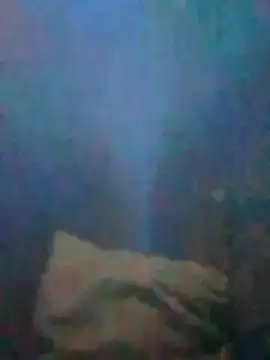 S7LEALTADPERVLIMA7 online show from 07/02/26, 03:56