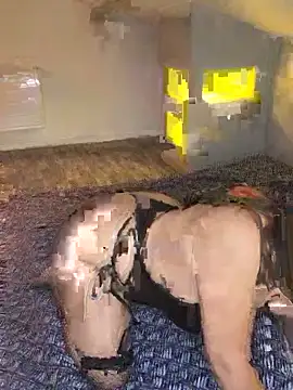 joujou95012 online show from 04/15/26, 07:43