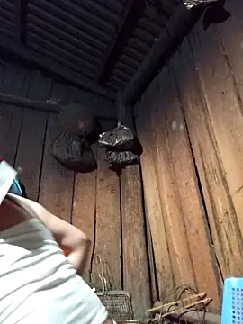 Snapshot of lena-cute chatting on 02/05/26, 12:54 lena-cute online show from 02/05/26, 12:54