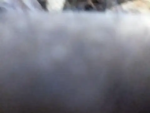 Snapshot of Joecool1009 chatting on 02/03/26, 12:31 Joecool1009 online show from 02/03/26, 12:31