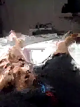 Al-Hari online show from 02/04/26, 04:13