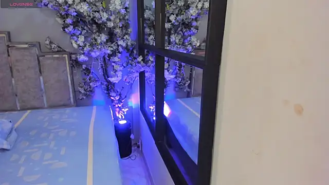 Nalapalmer online show from 02/07/26, 07:39