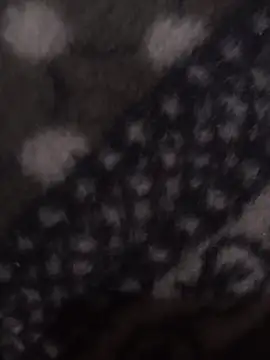 Snapshot of ravimandal chatting on 02/17/26, 06:58 ravimandal online show from 02/17/26, 06:58