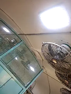 Snapshot of Talkwithsex chatting on 02/04/26, 02:39 Talkwithsex online show from 02/04/26, 02:39