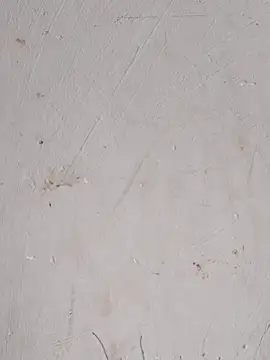Jennie dogy online show from 05/03/26, 02:28