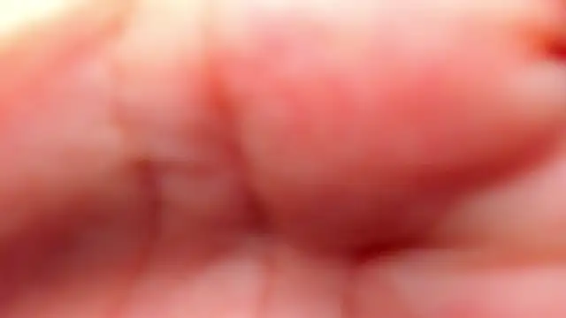 RinaFox   online show from 02/21/26, 01:17