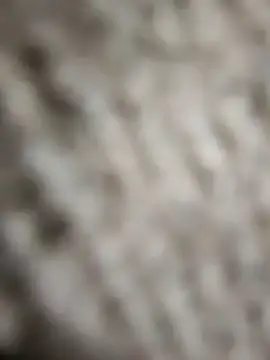 Snapshot of Flexxxo09 chatting on 02/04/26, 02:01 Flexxxo09 online show from 02/04/26, 02:01