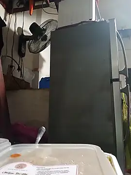 Snapshot of Wildcam21 chatting on 02/24/26, 09:51 Wildcam21 online show from 02/24/26, 09:51