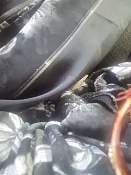 SexybeboX online show from 03/19/26, 05:44