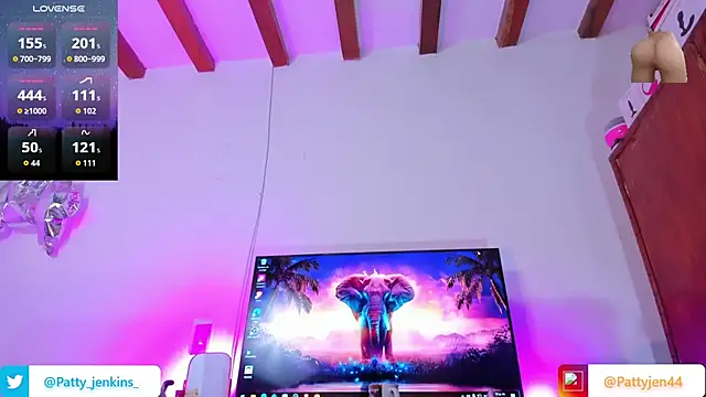 Snapshot of pattyjenkinss chatting on 02/17/26, 11:33 pattyjenkinss online show from 02/17/26, 11:33