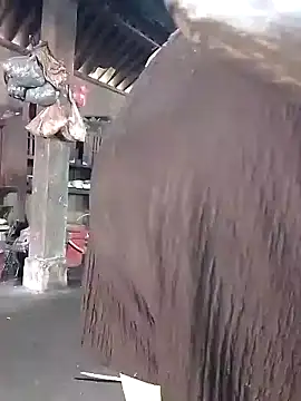 Nhoccon90 online show from 03/16/26, 05:44