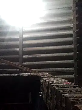 Linka998 online show from 03/16/26, 12:17