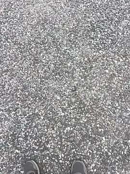 stallone italiano 62 online show from 04/12/26, 06:18