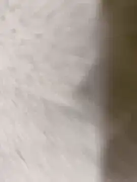 Snapshot of chennai_sexyboy chatting on 02/08/26, 04:32 chennai sexyboy online show from 02/08/26, 04:32