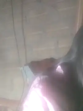 Snapshot of Yang-my- chatting on 02/13/26, 03:08 Yang-my- online show from 02/13/26, 03:08