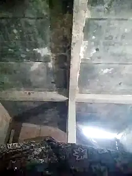 Loomaraj online show from 04/11/26, 01:04