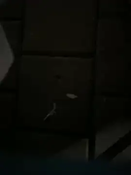 Darkhotcouple online show from 02/14/26, 09:22