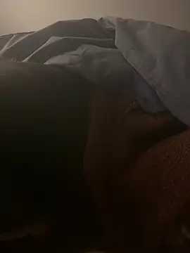 Snapshot of harleyquin00 chatting on 02/14/26, 07:32 harleyquin00 online show from 02/14/26, 07:32