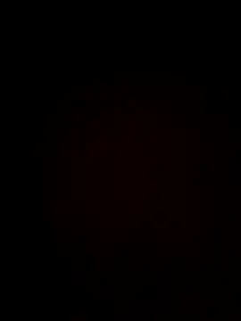 plump-bums online show from 02/16/26, 12:56