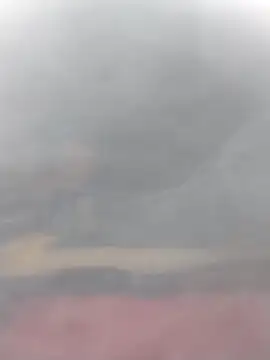 cobrosdepagos online show from 03/14/26, 03:06