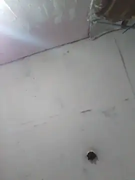 cobrosdepagos online show from 04/11/26, 04:17