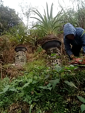 Snapshot of nelina_12345 chatting on 02/15/26, 09:08 nelina 12345 online show from 02/15/26, 09:08