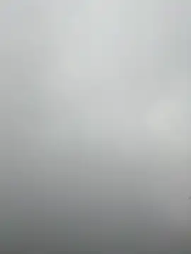 nelina 12345 online show from 04/16/26, 11:22