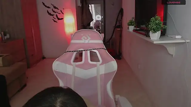 Snapshot of ShayL1sse chatting on 03/01/26, 12:18 ShayL1sse online show from 03/01/26, 12:18