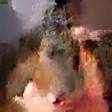 Snapshot of tubellaflor chatting on 03/01/26, 10:23 tubellaflor online show from 03/01/26, 10:23