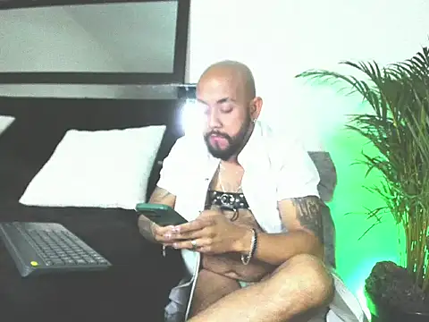 King bear 25 online show from 02/26/26, 01:48