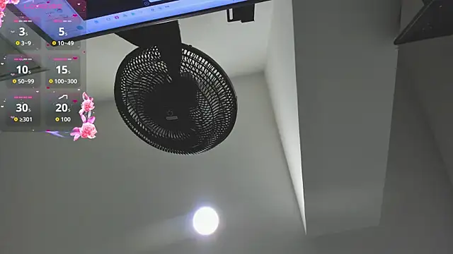 agartha velvet online show from 03/30/26, 03:40