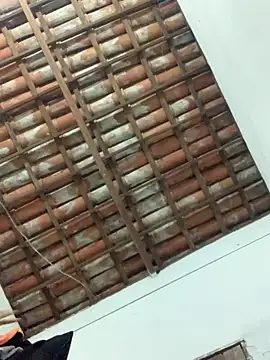 Navresseed online show from 04/18/26, 02:59