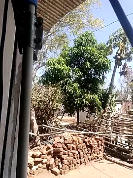 taniya0 online show from 03/13/26, 06:31