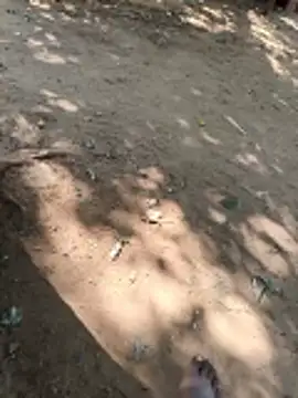 Snapshot of Locky_kamani chatting on 02/16/26, 08:21 Locky kamani online show from 02/16/26, 08:21